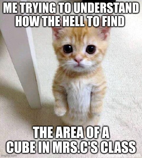 WHy am I so bad at this | ME TRYING TO UNDERSTAND HOW THE HELL TO FIND; THE AREA OF A CUBE IN MRS.C'S CLASS | image tagged in memes,cute cat | made w/ Imgflip meme maker