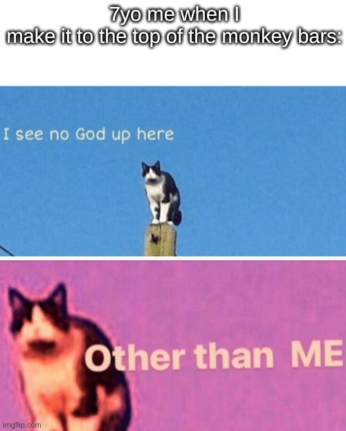 Hail pole cat | 7yo me when I make it to the top of the monkey bars: | image tagged in hail pole cat,memes | made w/ Imgflip meme maker