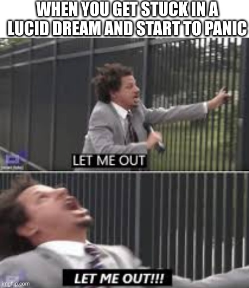 let me out | WHEN YOU GET STUCK IN A LUCID DREAM AND START TO PANIC | image tagged in let me out | made w/ Imgflip meme maker