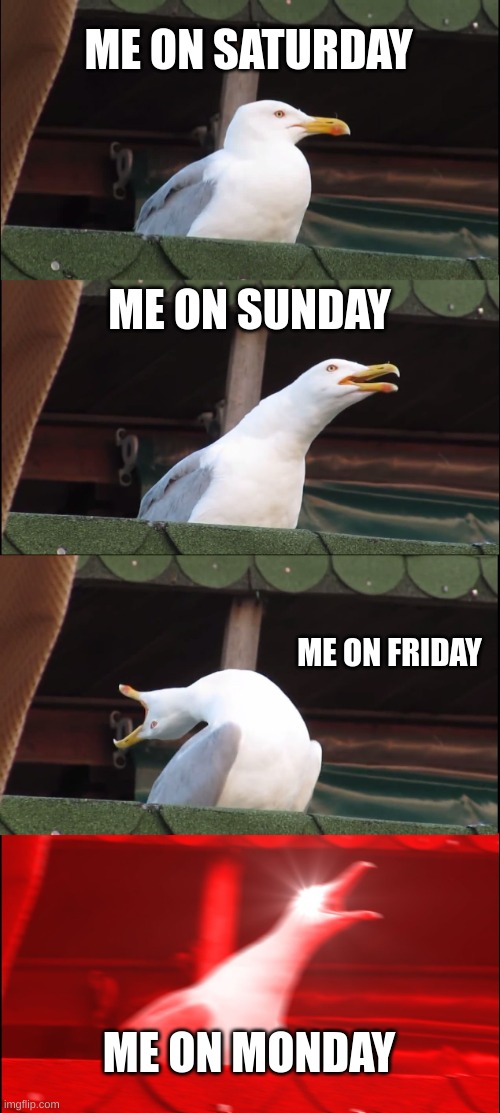 When me in school | ME ON SATURDAY; ME ON SUNDAY; ME ON FRIDAY; ME ON MONDAY | image tagged in memes,inhaling seagull | made w/ Imgflip meme maker