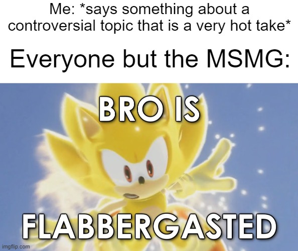 We are definitely the interesting stream. | Me: *says something about a controversial topic that is a very hot take*; Everyone but the MSMG: | image tagged in blank white template,sonic is flabbergasted,sonic the hedgehog,sonic frontiers,bro is flabbergasted | made w/ Imgflip meme maker