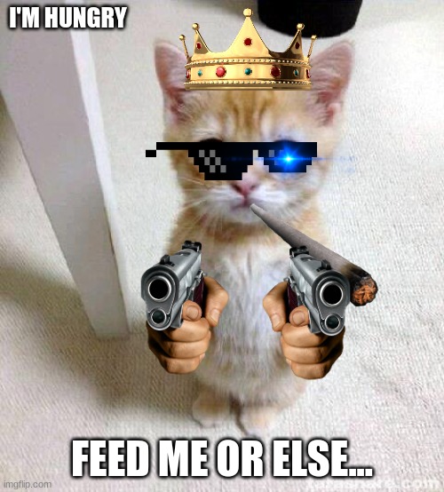Cute Cat Meme | I'M HUNGRY; FEED ME OR ELSE... | image tagged in memes,cute cat | made w/ Imgflip meme maker