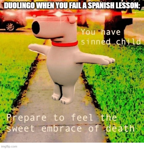 idk anymore tbh | DUOLINGO WHEN YOU FAIL A SPANISH LESSON: | image tagged in you have sinned child prepare to feel the sweet embrace of death | made w/ Imgflip meme maker