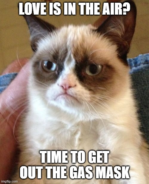 Grumpy Cat | LOVE IS IN THE AIR? TIME TO GET OUT THE GAS MASK | image tagged in memes,grumpy cat | made w/ Imgflip meme maker