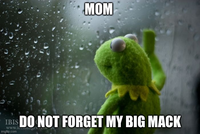 kermit window | MOM; DO NOT FORGET MY BIG MACK | image tagged in kermit window | made w/ Imgflip meme maker