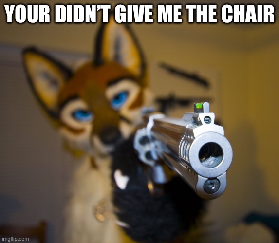 Furry with gun | YOUR DIDN’T GIVE ME THE CHAIR | image tagged in furry with gun | made w/ Imgflip meme maker