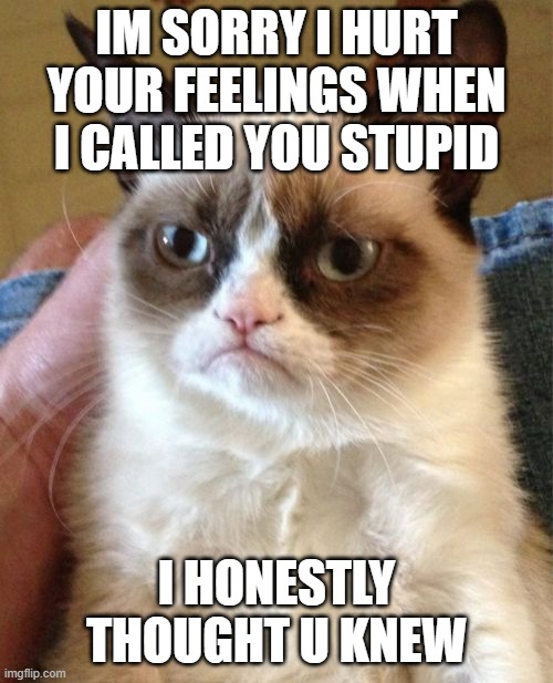 Grumpy Cat Meme | IM SORRY I HURT YOUR FEELINGS WHEN I CALLED YOU STUPID; I HONESTLY THOUGHT U KNEW | image tagged in memes,grumpy cat | made w/ Imgflip meme maker