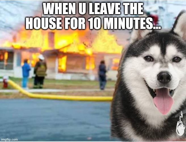 Meme | WHEN U LEAVE THE HOUSE FOR 10 MINUTES... | image tagged in siberian husky burned the house down | made w/ Imgflip meme maker