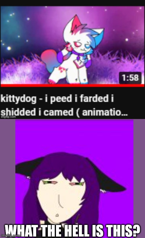 kittydog i peed i farded i shidded i camed | WHAT THE HELL IS THIS? | image tagged in kittydog i peed i farded i shidded i camed | made w/ Imgflip meme maker