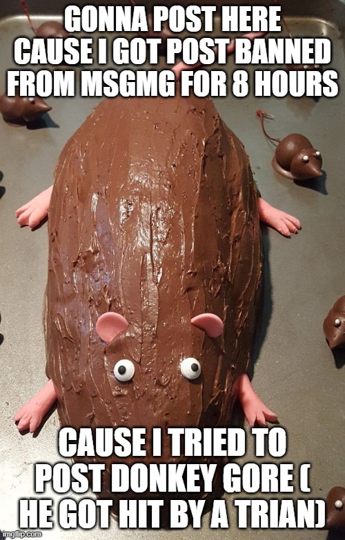 chocolate rat | GONNA POST HERE CAUSE I GOT POST BANNED FROM MSGMG FOR 8 HOURS; CAUSE I TRIED TO POST DONKEY GORE ( HE GOT HIT BY A TRIAN) | image tagged in chocolate rat | made w/ Imgflip meme maker