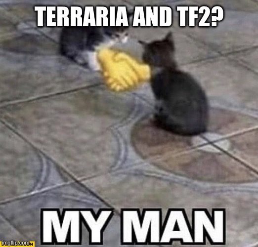 Cats shaking hands | TERRARIA AND TF2? | image tagged in cats shaking hands | made w/ Imgflip meme maker