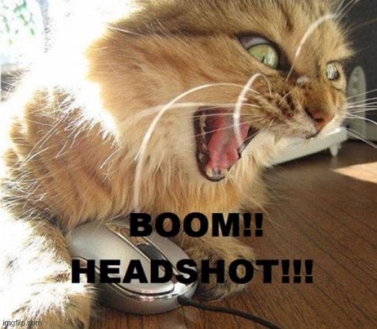 BOOM!!! HEADSHOT!!! | image tagged in boom headshot | made w/ Imgflip meme maker