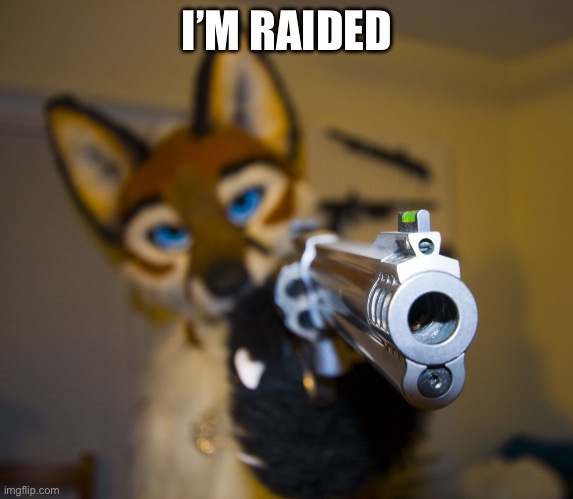 mod note: ok | I’M RAIDED | image tagged in furry with gun | made w/ Imgflip meme maker