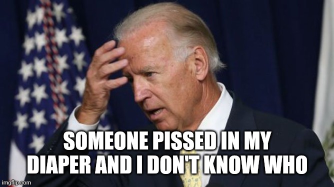 Joe Biden worries | SOMEONE PISSED IN MY DIAPER AND I DON'T KNOW WHO | image tagged in joe biden worries | made w/ Imgflip meme maker