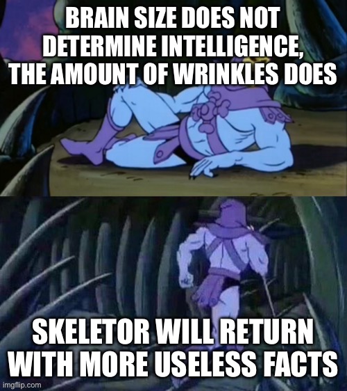 Skeletor disturbing facts | BRAIN SIZE DOES NOT DETERMINE INTELLIGENCE, THE AMOUNT OF WRINKLES DOES; SKELETOR WILL RETURN WITH MORE USELESS FACTS | image tagged in skeletor disturbing facts | made w/ Imgflip meme maker