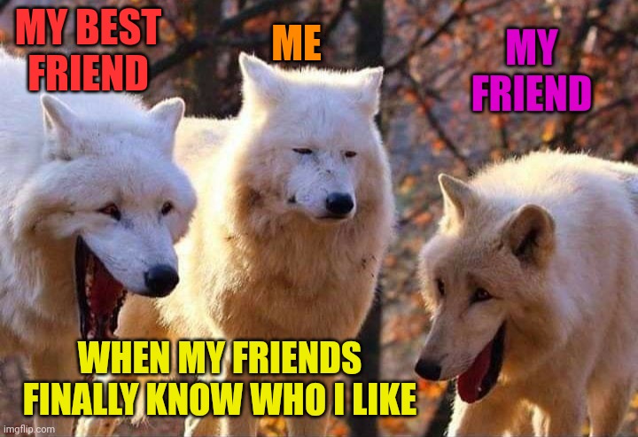 Laughing wolf | MY BEST FRIEND; ME; MY FRIEND; WHEN MY FRIENDS FINALLY KNOW WHO I LIKE | image tagged in laughing wolf | made w/ Imgflip meme maker
