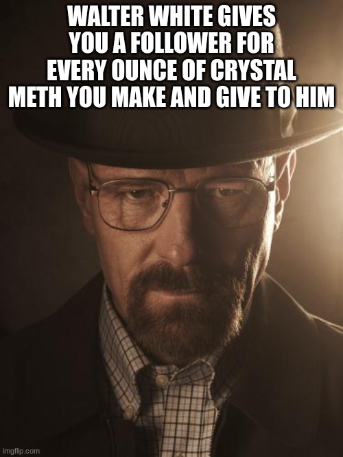 Walter White | WALTER WHITE GIVES YOU A FOLLOWER FOR EVERY OUNCE OF CRYSTAL METH YOU MAKE AND GIVE TO HIM | image tagged in walter white | made w/ Imgflip meme maker