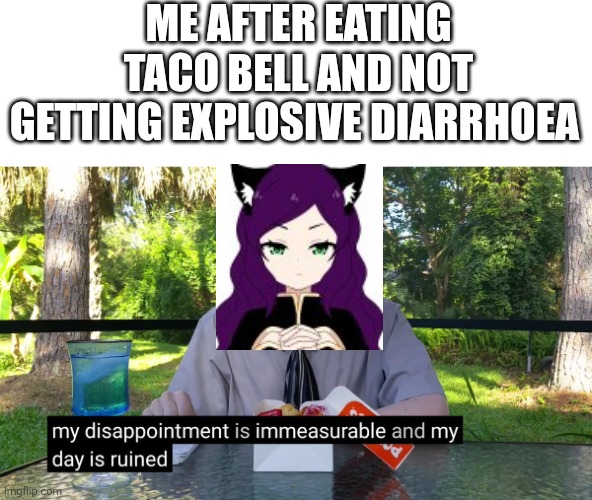 They lied.... | ME AFTER EATING TACO BELL AND NOT GETTING EXPLOSIVE DIARRHOEA | image tagged in my disappointment is immeasurable | made w/ Imgflip meme maker