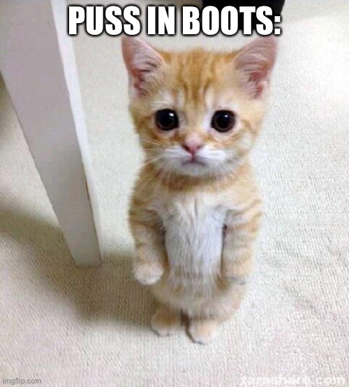 When a live action Puss in Boots movie is announced | PUSS IN BOOTS: | image tagged in memes,cute cat,puss in boots,dreamworks,universal,universal studios | made w/ Imgflip meme maker