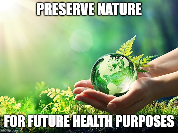 environment earth protect | PRESERVE NATURE; FOR FUTURE HEALTH PURPOSES | image tagged in environment earth protect | made w/ Imgflip meme maker