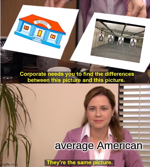 average American | average American | image tagged in memes,they're the same picture | made w/ Imgflip meme maker