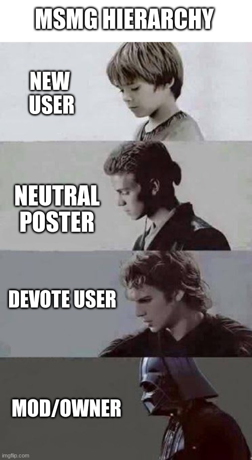 Anakin 4 phases | MSMG HIERARCHY; NEW 
USER; NEUTRAL POSTER; DEVOTE USER; MOD/OWNER | image tagged in anakin 4 phases | made w/ Imgflip meme maker