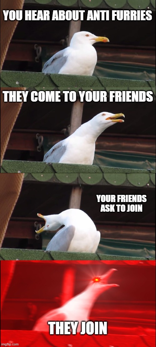 AAAAAAAAAAAAA | YOU HEAR ABOUT ANTI FURRIES; THEY COME TO YOUR FRIENDS; YOUR FRIENDS ASK TO JOIN; THEY JOIN | image tagged in memes,inhaling seagull | made w/ Imgflip meme maker