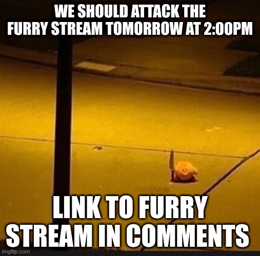 Kirby with Knife (2) | WE SHOULD ATTACK THE FURRY STREAM TOMORROW AT 2:00PM; LINK TO FURRY STREAM IN COMMENTS | image tagged in kirby with knife 2 | made w/ Imgflip meme maker