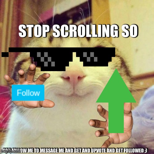 Smiling Cat | STOP SCROLLING SO; YOU FOLLOW ME TO MESSAGE ME AND GET AND UPVOTE AND GET FOLLOWED ;) | image tagged in memes,smiling cat | made w/ Imgflip meme maker