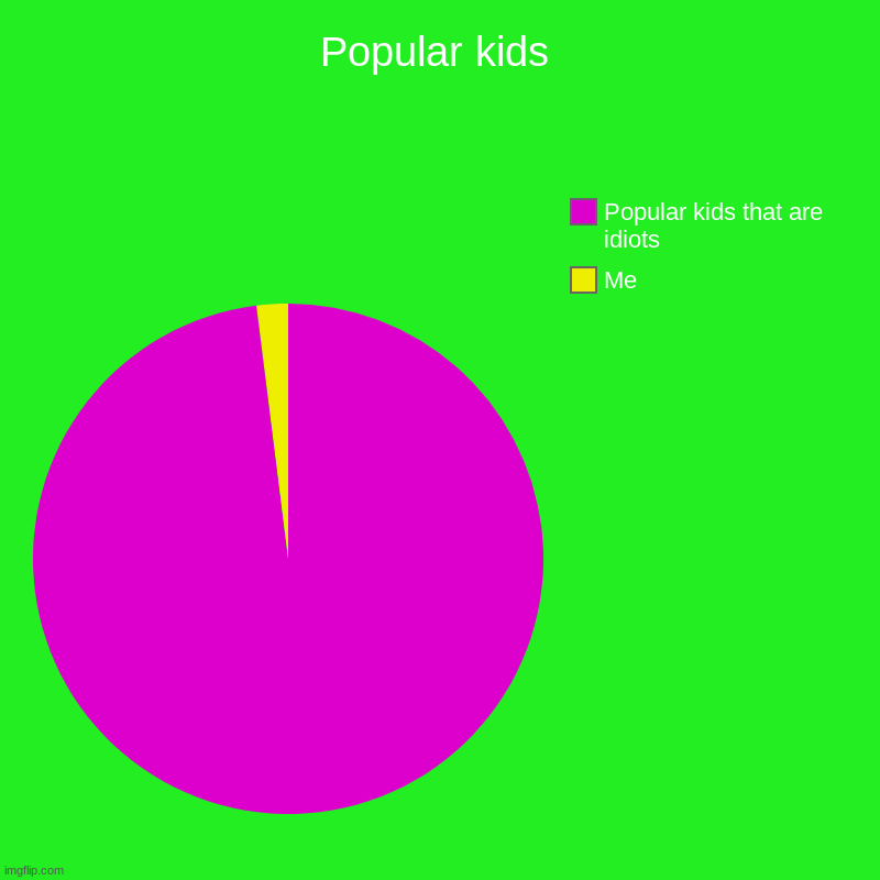Popular kids | Me, Popular kids that are idiots | image tagged in charts,pie charts | made w/ Imgflip chart maker