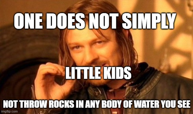 Little kids do be thrwing rocks in any body of water they see | ONE DOES NOT SIMPLY; LITTLE KIDS; NOT THROW ROCKS IN ANY BODY OF WATER YOU SEE | image tagged in memes,one does not simply | made w/ Imgflip meme maker