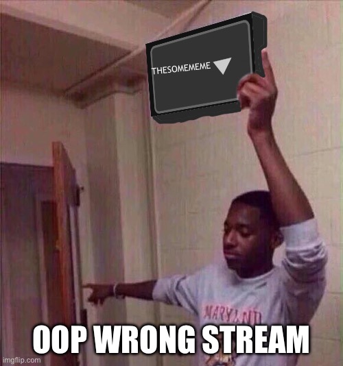 This is for something | THESOMEMEME; OOP WRONG STREAM | image tagged in go back to x stream | made w/ Imgflip meme maker