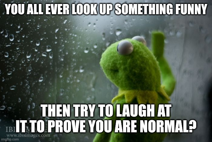 Be Honest | YOU ALL EVER LOOK UP SOMETHING FUNNY; THEN TRY TO LAUGH AT IT TO PROVE YOU ARE NORMAL? | image tagged in kermit window,sad,funny | made w/ Imgflip meme maker