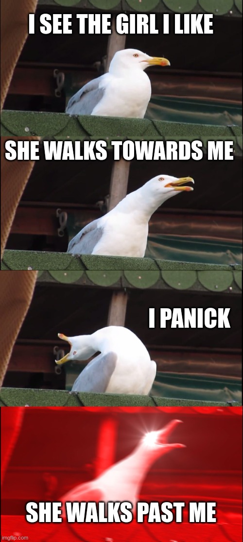 Inhaling Seagull Meme | I SEE THE GIRL I LIKE; SHE WALKS TOWARDS ME; I PANICK; SHE WALKS PAST ME | image tagged in memes,inhaling seagull | made w/ Imgflip meme maker