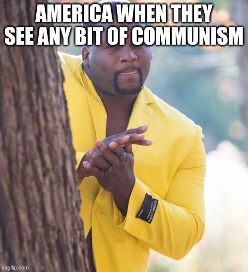 Black guy hiding behind tree | AMERICA WHEN THEY SEE ANY BIT OF COMMUNISM | image tagged in black guy hiding behind tree | made w/ Imgflip meme maker