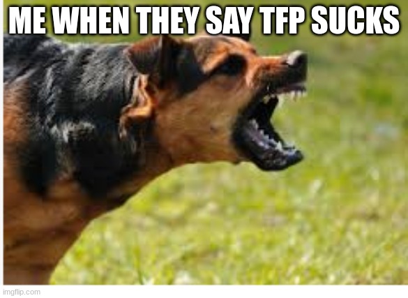 ME WHEN THEY SAY TFP SUCKS | made w/ Imgflip meme maker