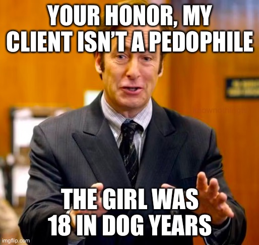 lmao | YOUR HONOR, MY CLIENT ISN’T A PEDOPHILE; THE GIRL WAS 18 IN DOG YEARS | image tagged in saul goodman your honor | made w/ Imgflip meme maker