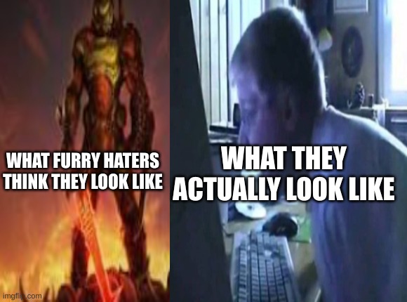 WHAT THEY ACTUALLY LOOK LIKE; WHAT FURRY HATERS THINK THEY LOOK LIKE | made w/ Imgflip meme maker