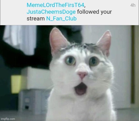 WHAT THE HELL? | image tagged in memes,omg cat | made w/ Imgflip meme maker