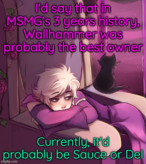 THP's good too, but I think Sauce and Del take it more seriously tbh | I'd say that in MSMG's 3 years history, Wallhammer was probably the best owner; Currently, it'd probably be Sauce or Del | image tagged in thinking about life | made w/ Imgflip meme maker