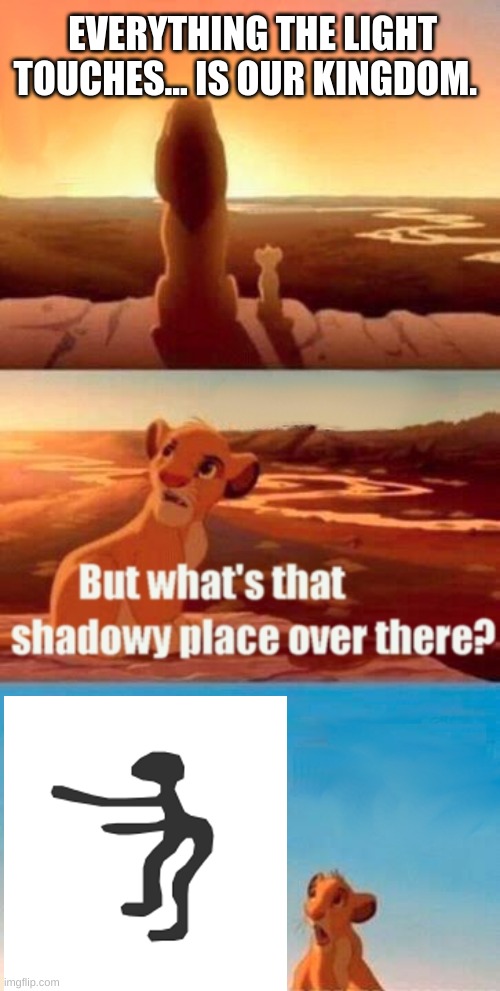 Simba | EVERYTHING THE LIGHT TOUCHES... IS OUR KINGDOM. | image tagged in memes,simba shadowy place | made w/ Imgflip meme maker