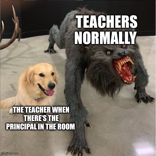 dog vs werewolf | TEACHERS NORMALLY; THE TEACHER WHEN THERE’S THE PRINCIPAL IN THE ROOM | image tagged in dog vs werewolf | made w/ Imgflip meme maker