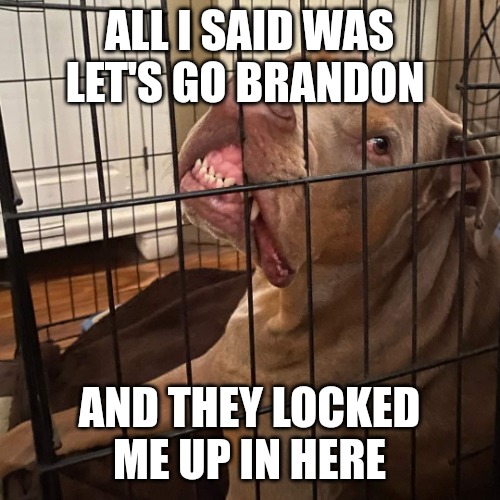 Let's go Brandon | ALL I SAID WAS LET'S GO BRANDON; AND THEY LOCKED ME UP IN HERE | image tagged in johnny hollywood | made w/ Imgflip meme maker