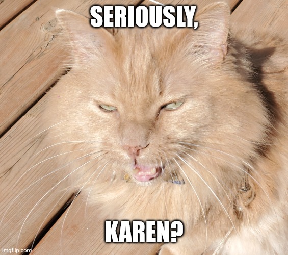 Seriously? | SERIOUSLY, KAREN? | image tagged in seriously karen | made w/ Imgflip meme maker