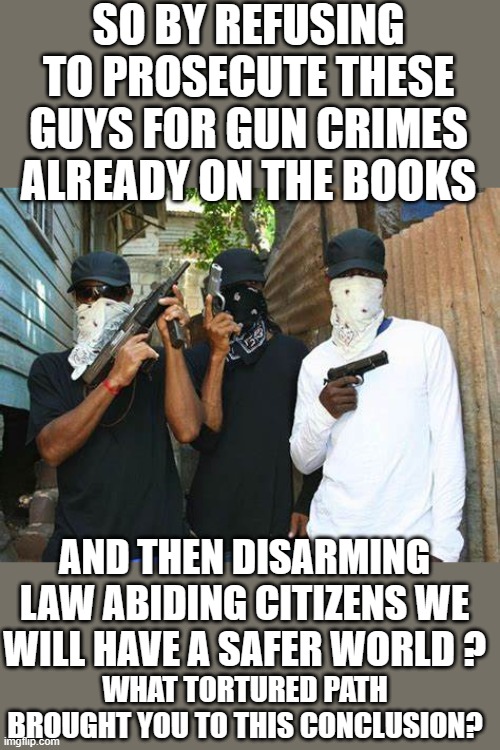 Makes perfect sense if your cool with using the street as a toliet | SO BY REFUSING TO PROSECUTE THESE GUYS FOR GUN CRIMES ALREADY ON THE BOOKS; AND THEN DISARMING LAW ABIDING CITIZENS WE WILL HAVE A SAFER WORLD ? WHAT TORTURED PATH BROUGHT YOU TO THIS CONCLUSION? | made w/ Imgflip meme maker