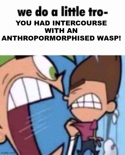 my head is doing a hurty | YOU HAD INTERCOURSE WITH AN ANTHROPORMORPHISED WASP! | image tagged in we do a little tro- | made w/ Imgflip meme maker