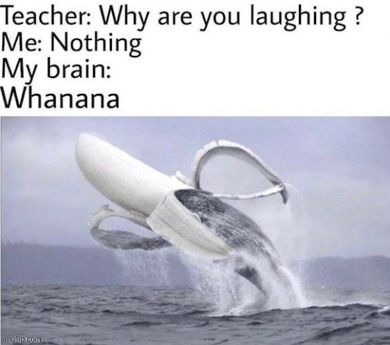 whanana | image tagged in whale,banana | made w/ Imgflip meme maker