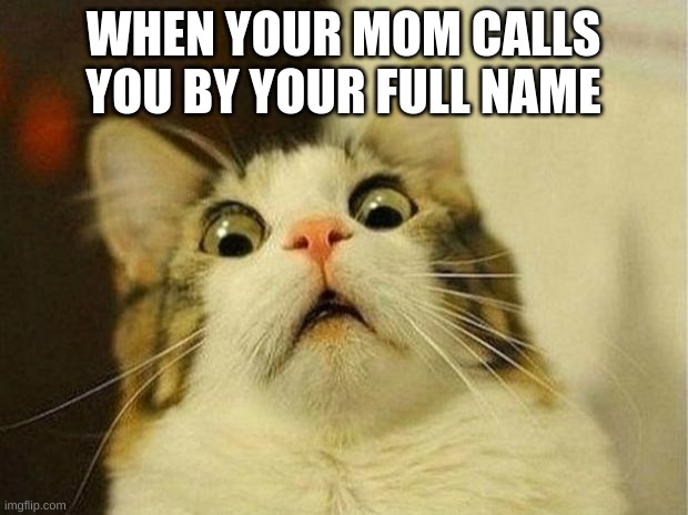 Scared Cat | WHEN YOUR MOM CALLS YOU BY YOUR FULL NAME | image tagged in memes,scared cat | made w/ Imgflip meme maker
