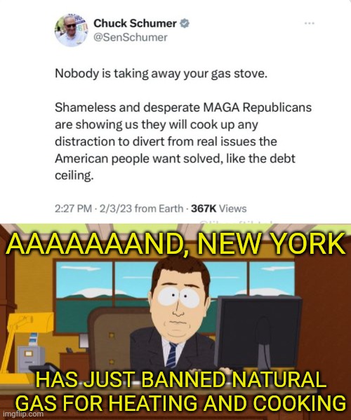 "Shameless and desperate" MAGA was right again | AAAAAAAND, NEW YORK; HAS JUST BANNED NATURAL GAS FOR HEATING AND COOKING | image tagged in aaaaand its gone,maga,chuck schumer,democrats,banned,gas | made w/ Imgflip meme maker