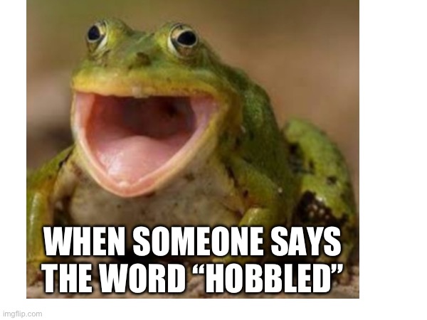 Its true | WHEN SOMEONE SAYS THE WORD “HOBBLED” | image tagged in funny | made w/ Imgflip meme maker